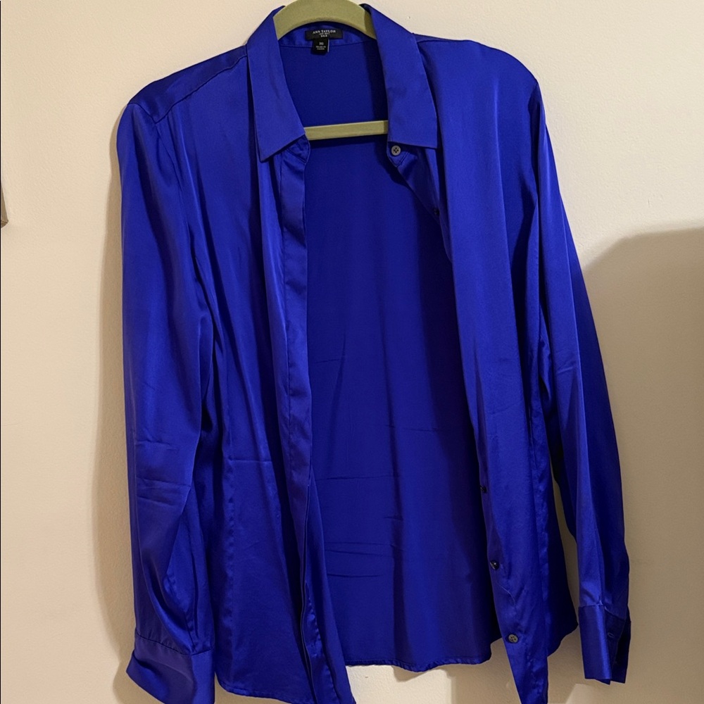 Ann Taylor Men's Vibrant Blue Button Down Shirt
